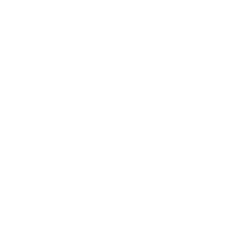 Portfolio Entry Name